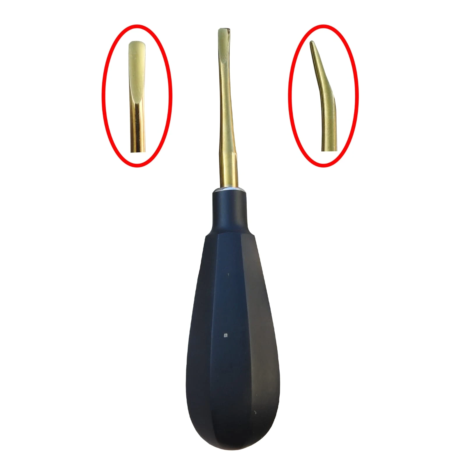 Premium Dental Luxating Elevator – Curved & Straight Titanium-Coated Extraction Tool